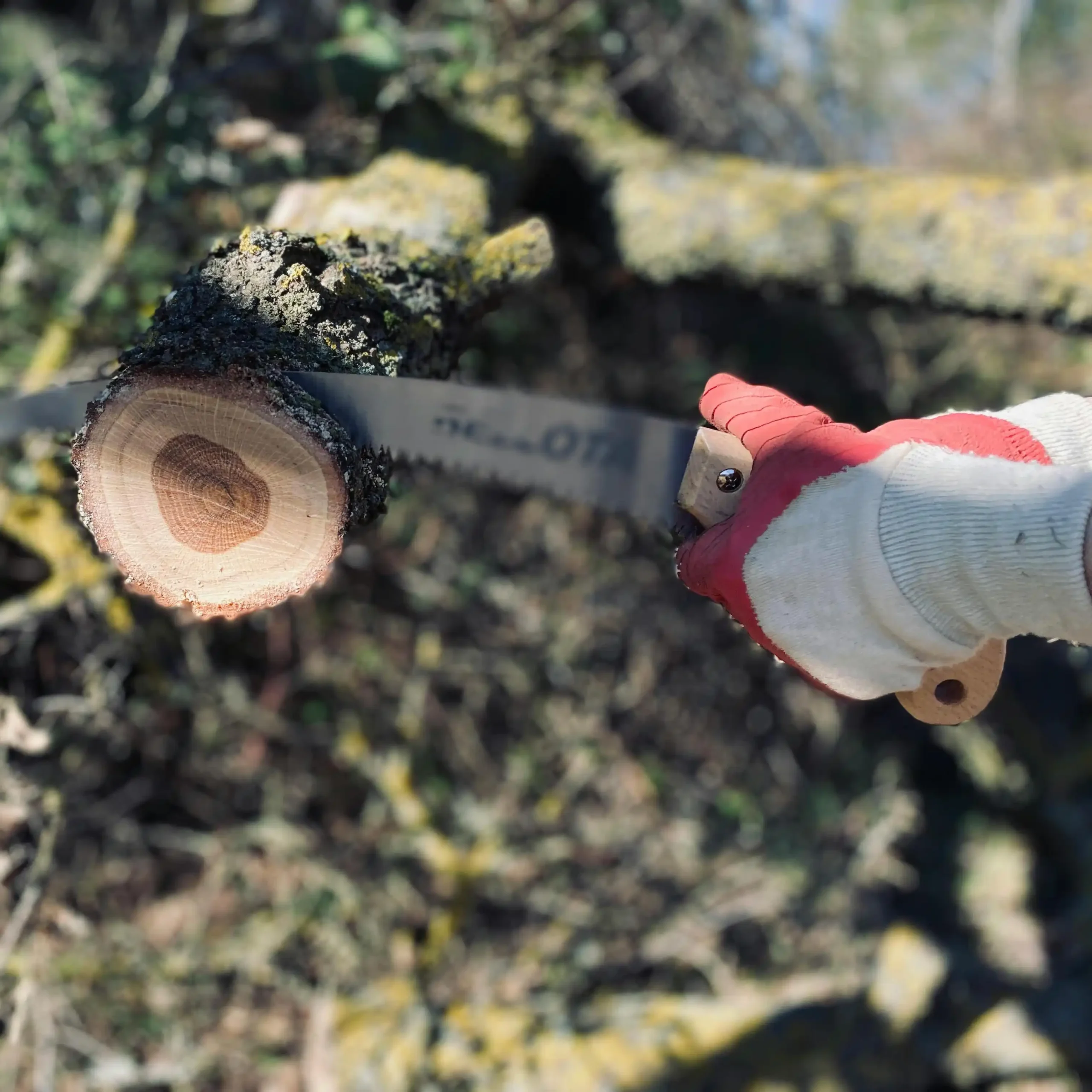 Gartenservice